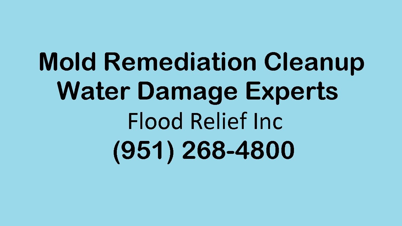 Mold Remediation Cleanup Corona CA | Water Damage Experts