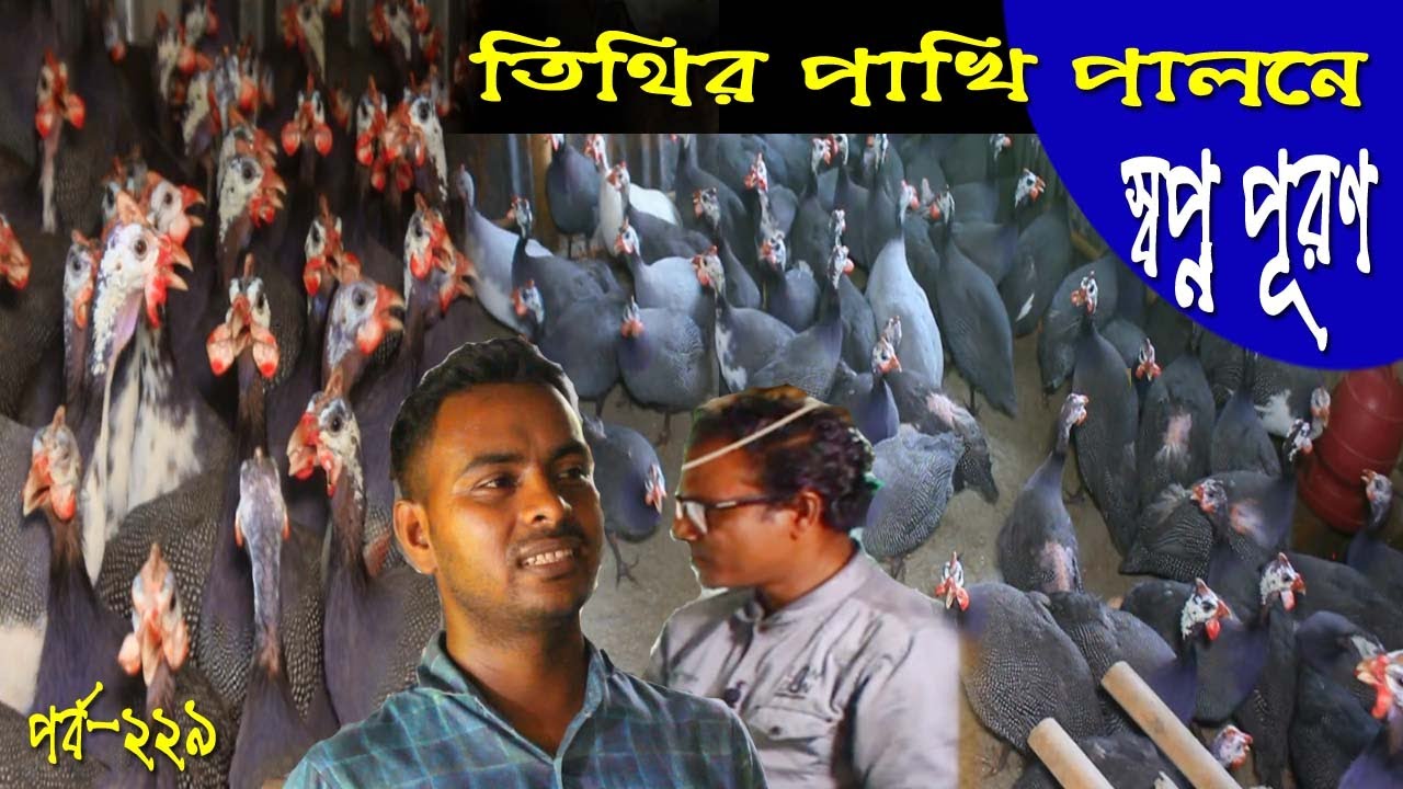 মেকানিক্যাল থেকে তিথির পালনে মাত্র ১১ হাজার টাকা হাতে নিয়ে এখন লক্ষ টাকা আয় । Titir Palon