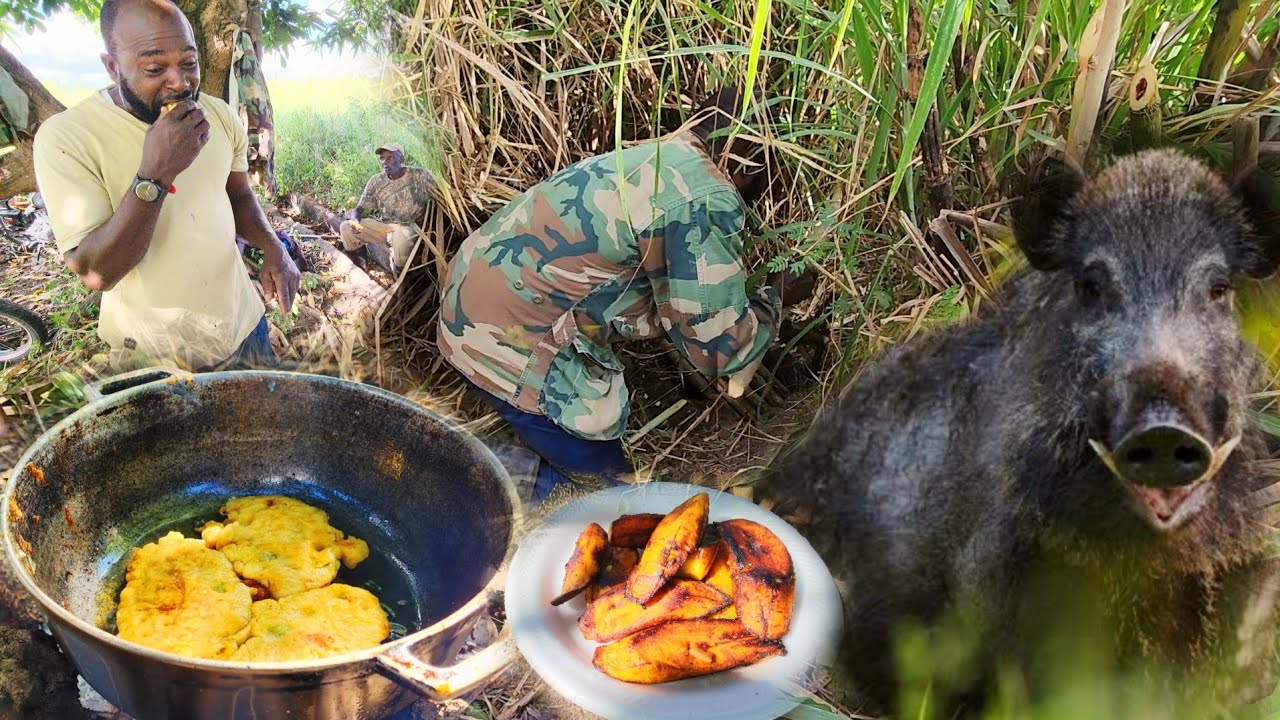 Wild Boar Hunting Adventure: Fuel Up For An Epic Breakfast In The Untamed Wilderness!