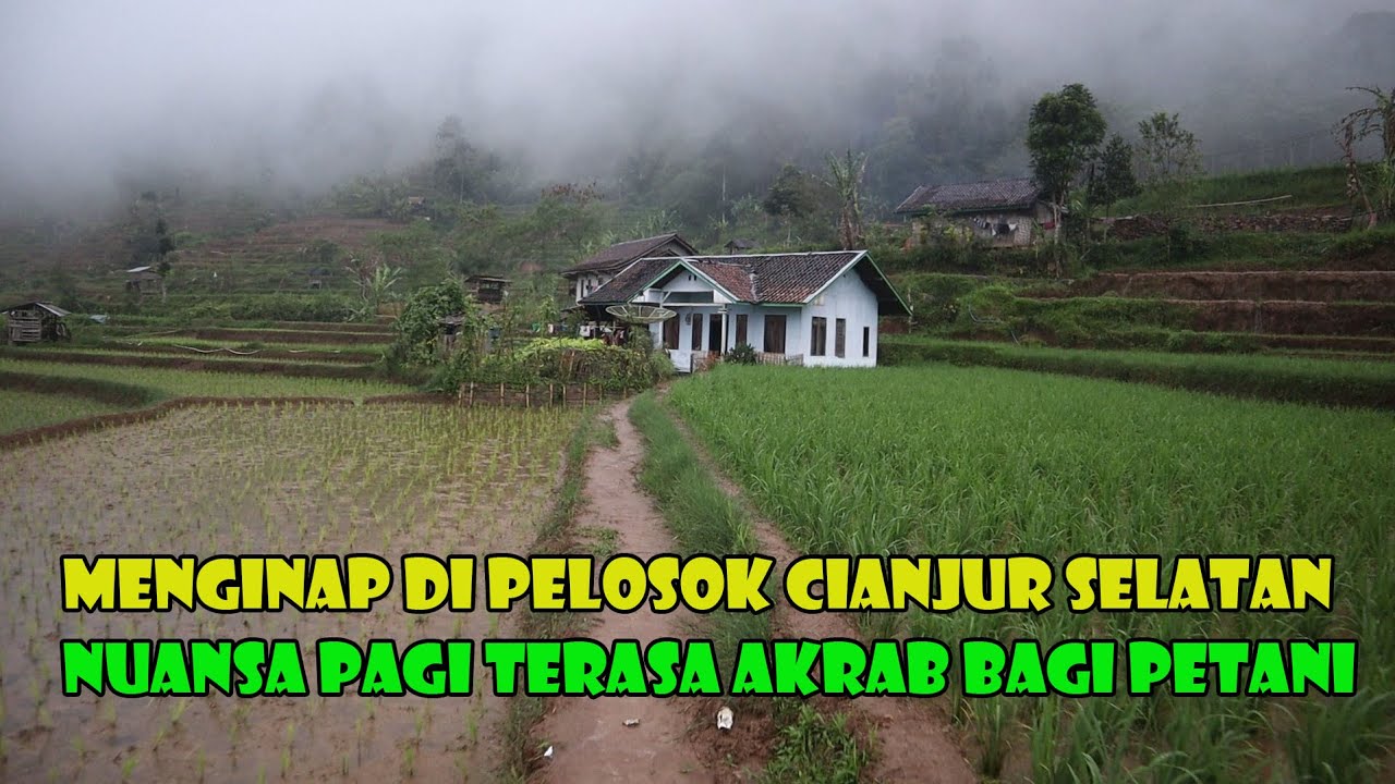 Menginap Di pelosok Cianjur Selatan. Suasana Pagi Yang Menawan Tenangkan Hati Dan Pikiran.