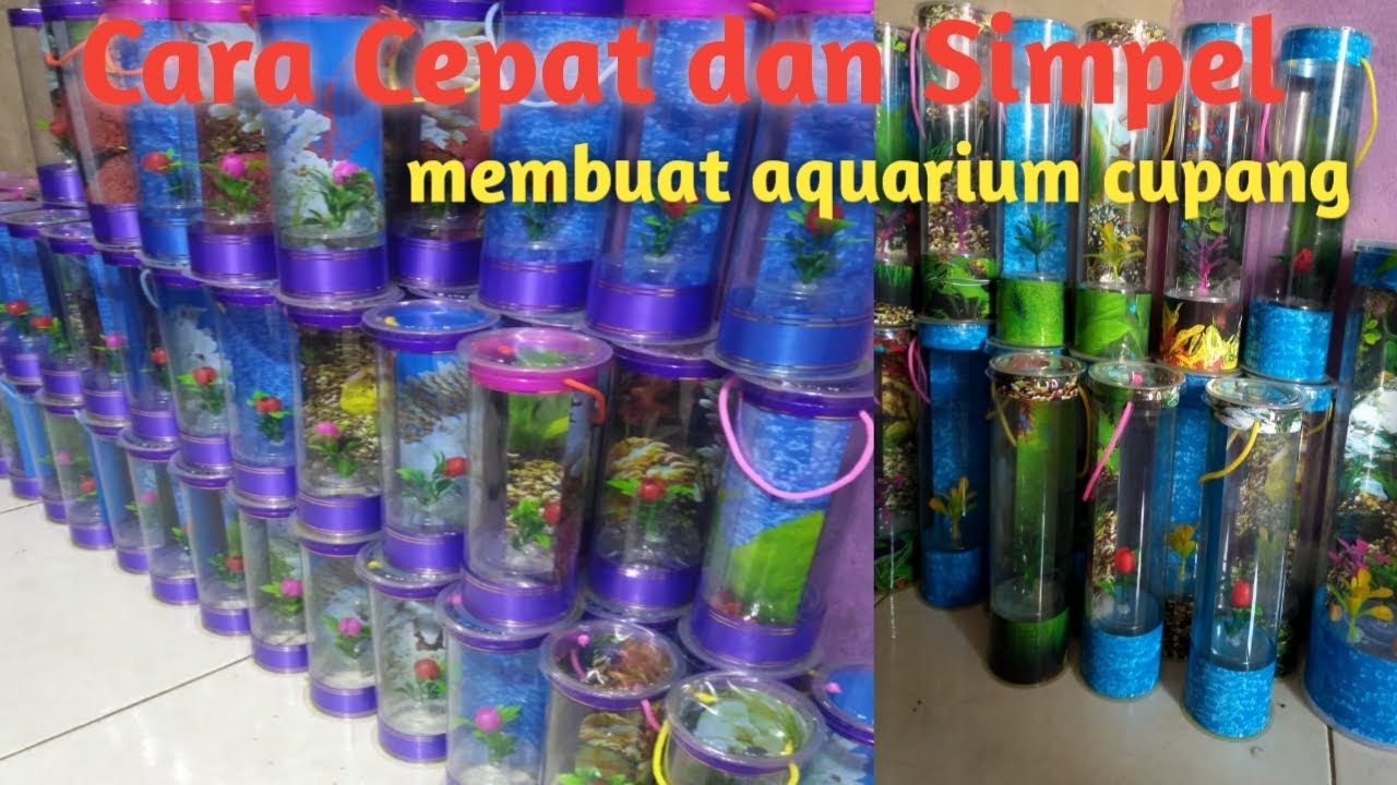 Cara cepat buat akuarium cupang anti bocor