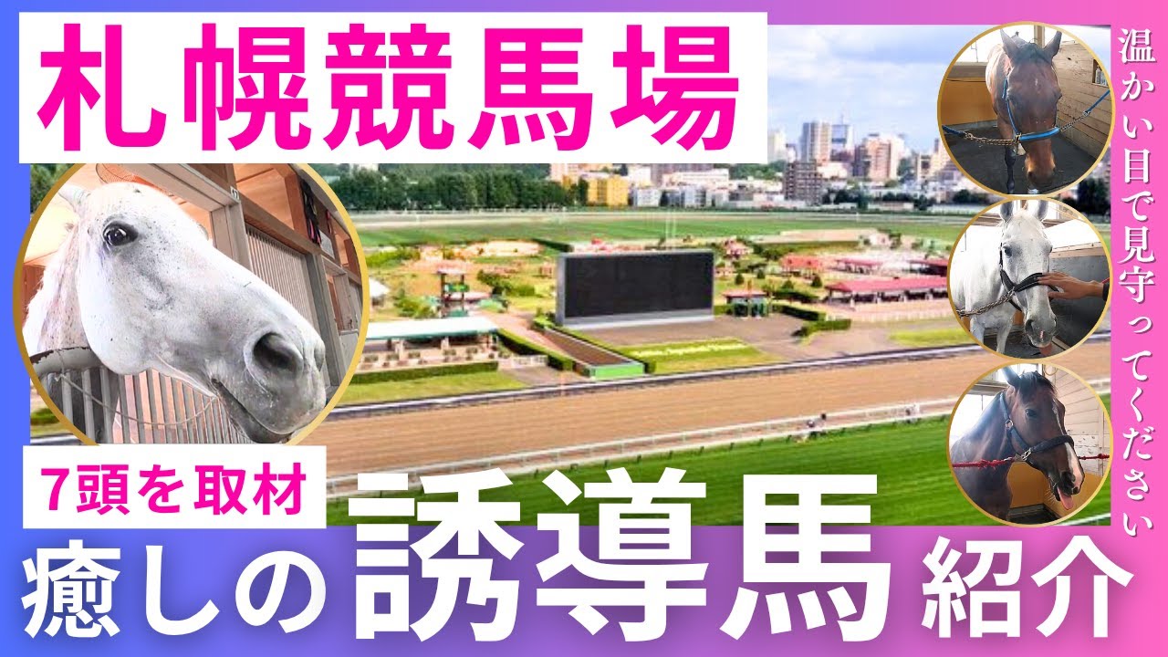 【札幌競馬場の誘導馬】お花を食べたり、ゴマフアザラシ風の毛色など個性豊か！夏競馬を盛り上げます