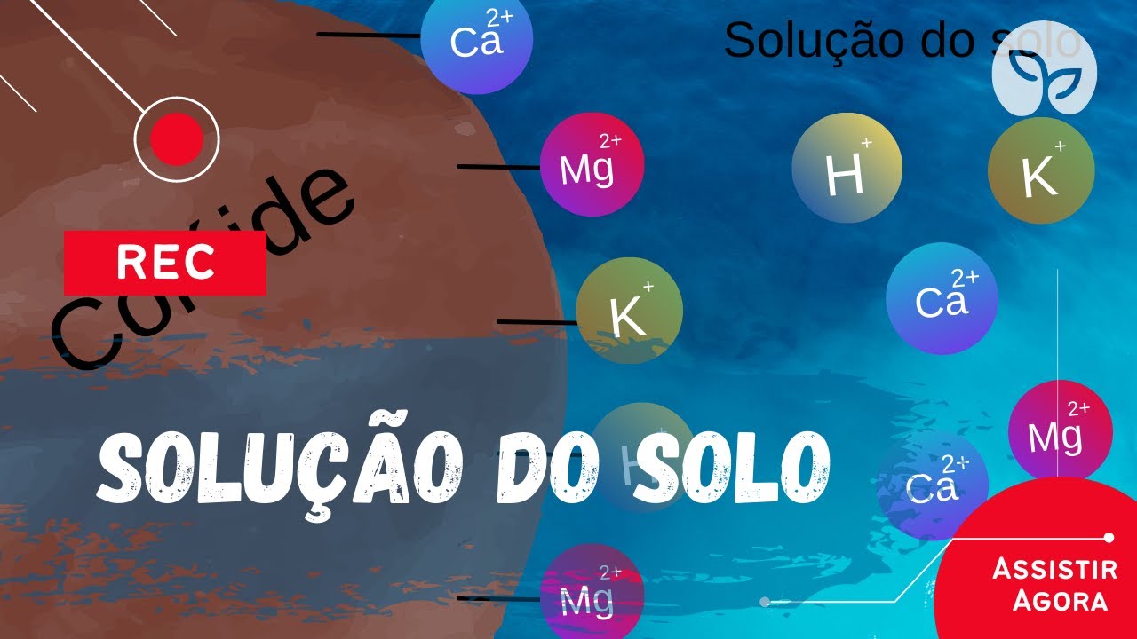 MANEJO ECOL&Oacute;GICO DO SOLO | Entenda o que &eacute; a solu&ccedil;&atilde;o do solo.