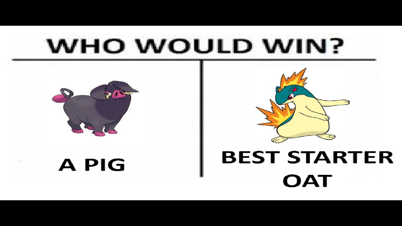 Gym 2 nuzlocke deathless, no tutor HOF Roria Conquest
