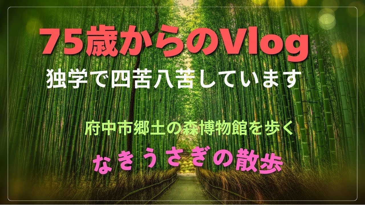 なきうさぎの散歩　VOL１