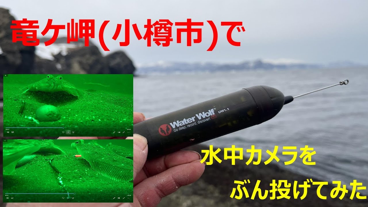 【北海道の釣り／水中映像】小樽市竜ケ岬の水中動画