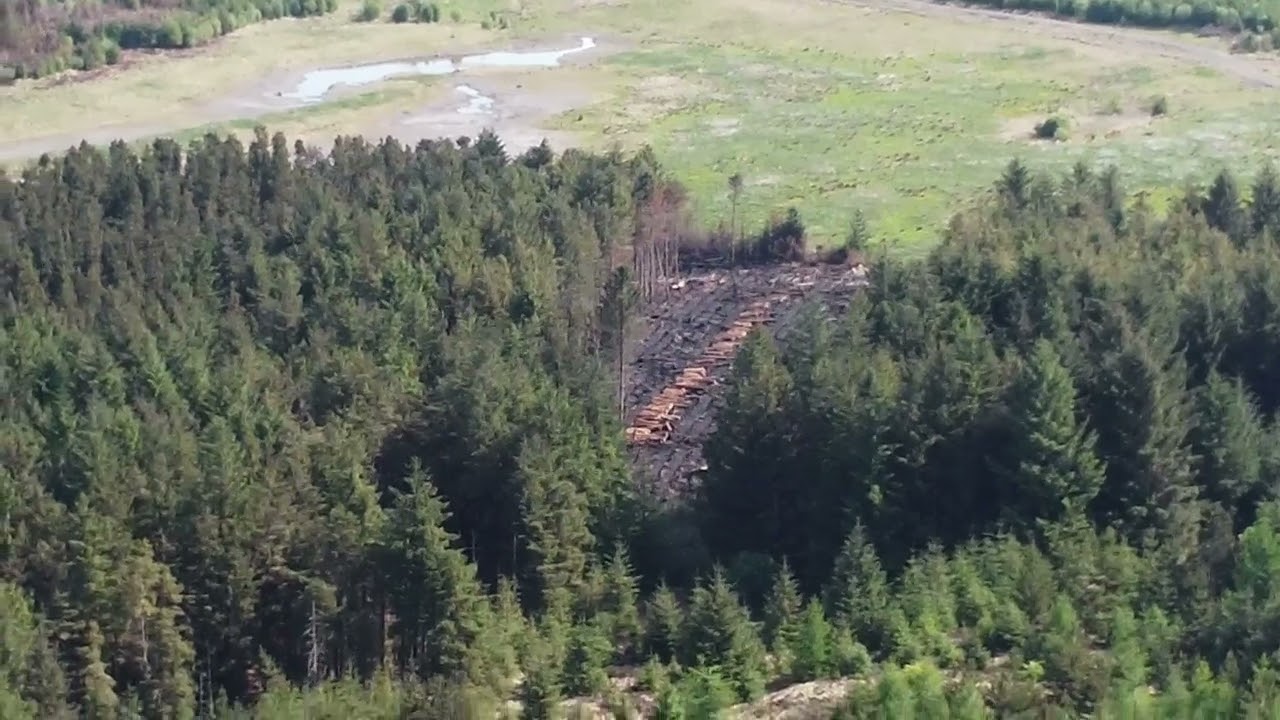 Fauldhouse wild fire Aftermath.