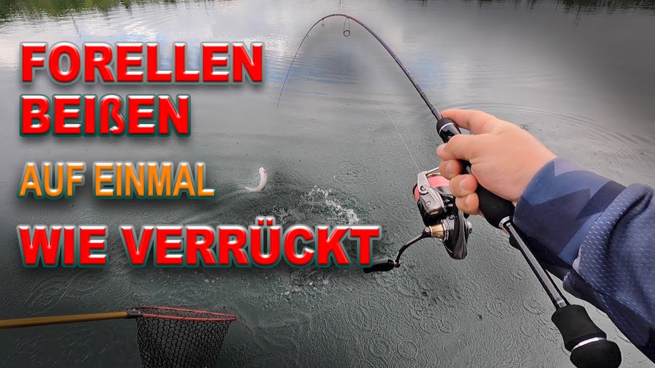Forellenangeln am Angelsee Oker | Erfolgreich Forellen fangen am Forellenteich mit GOD HANDS Spoons