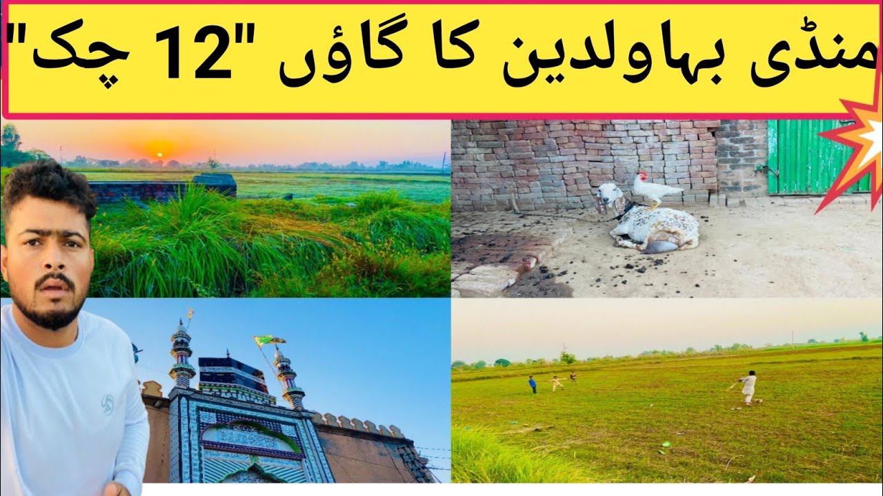 MANDI BAHAUDDIN💯 ka Village 12 Chak Ka visit 💥 ||  چک گاؤں کی سیر12💞#youtube