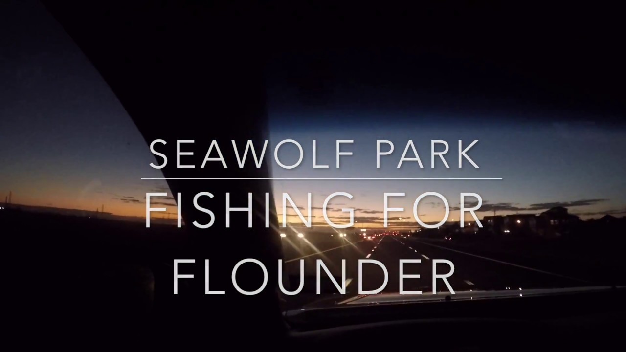 SEAWOLF PARK - FISHING FOR FLOUNDER (GOPRO HERO 5 -1080P)