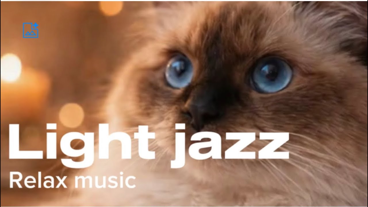 Light Jazz with Soft Vocals | Calm & Cozy Playlist