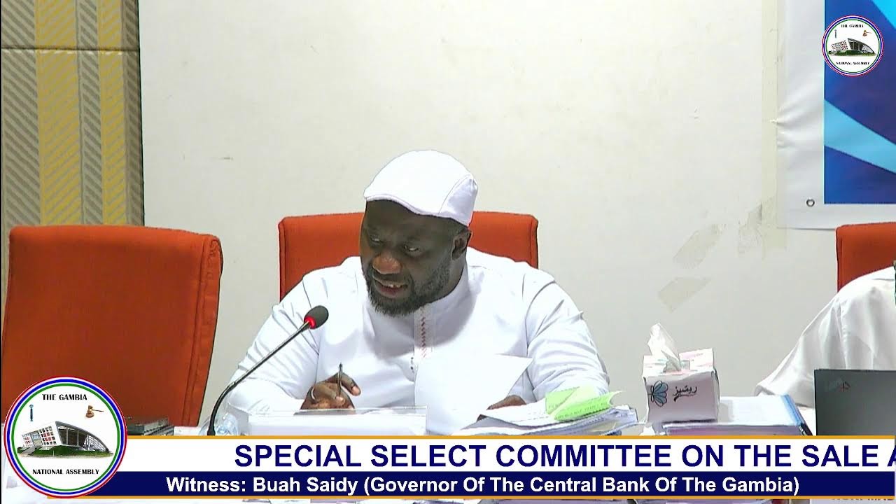 SPECIAL SELECT COMMITTEE ON THE SALE AND DISPOSAL OF ASSETS IDENTIFIED