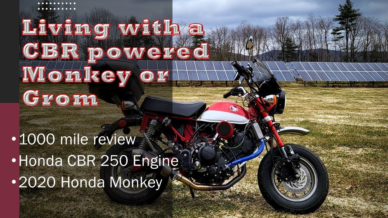 Living with a CBR powered Monkey or Grom 1000 mile review on the swap