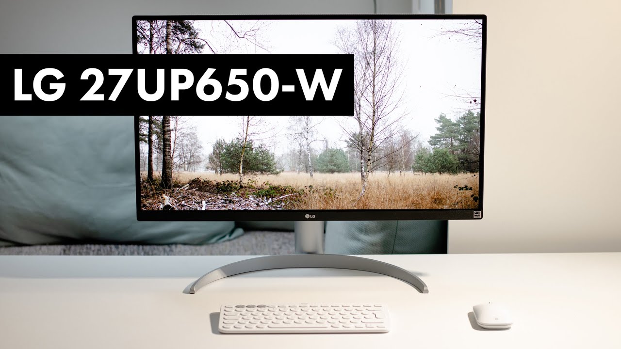 Best Budget 4K Monitor under $300 in 2024