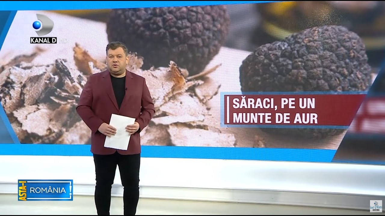 Asta-i Romania (06.02.2022) - SARACI PE UN MUNTE DE AUR: 