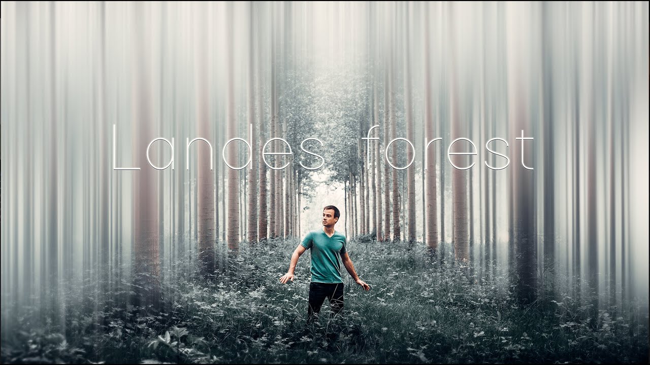 𝕃𝕒𝕟𝕕𝕖𝕤 𝔽𝕠𝕣𝕖𝕤𝕥 - Nature is most Unnatural | CINEMATIC VIDEO 4K