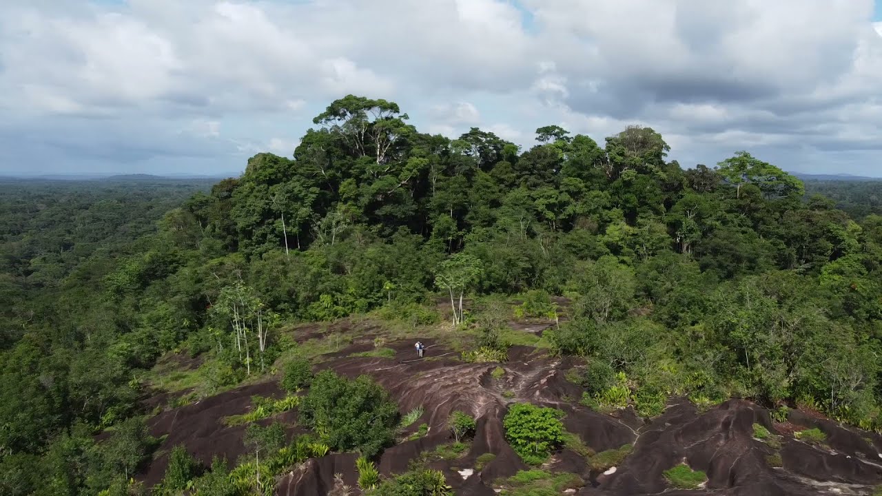 Roche Virginie - GUYANE  | SESSION DRONE