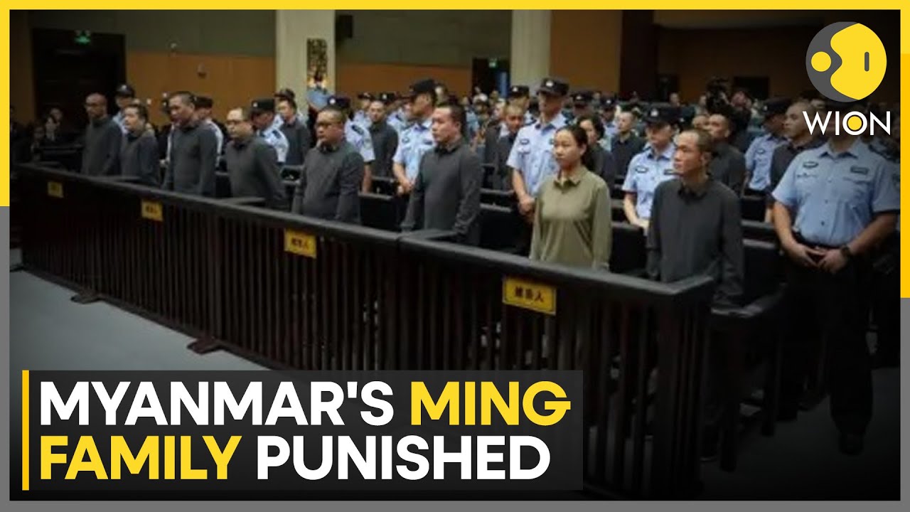 China Executes 11 in Major Crackdown on Myanmar-Based Scam Network | WION NEWS