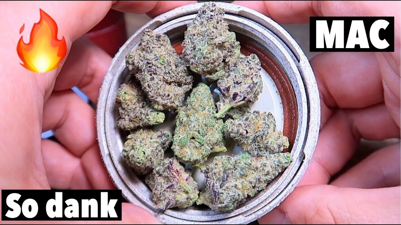 MAC REVIEW (Miracle Alien Cookies)