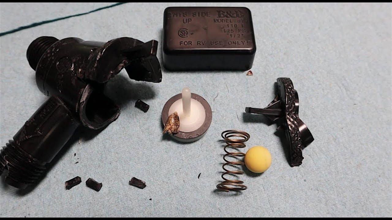 RV Fifth Wheel Flooded by Stink Bug in Black Tank Check Valve (vacuum breaker)