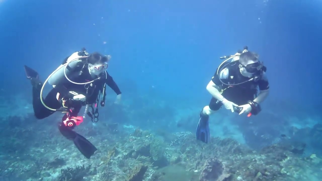 #2025 #cozumel @salemscuba1170 