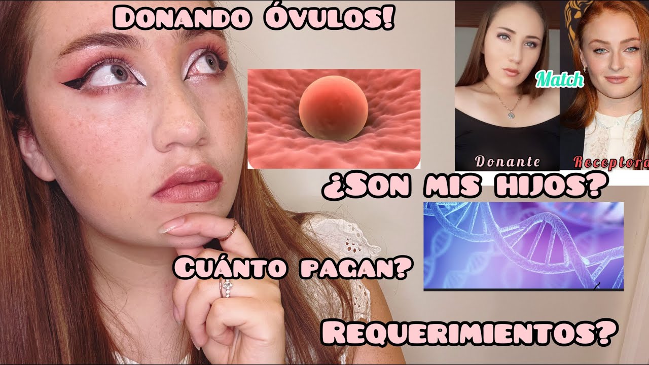 Donación de Óvulos ¿Que es? ¿Como funciona? Pagan? Te cuento todo desde mi experiencia! 👩🏼
