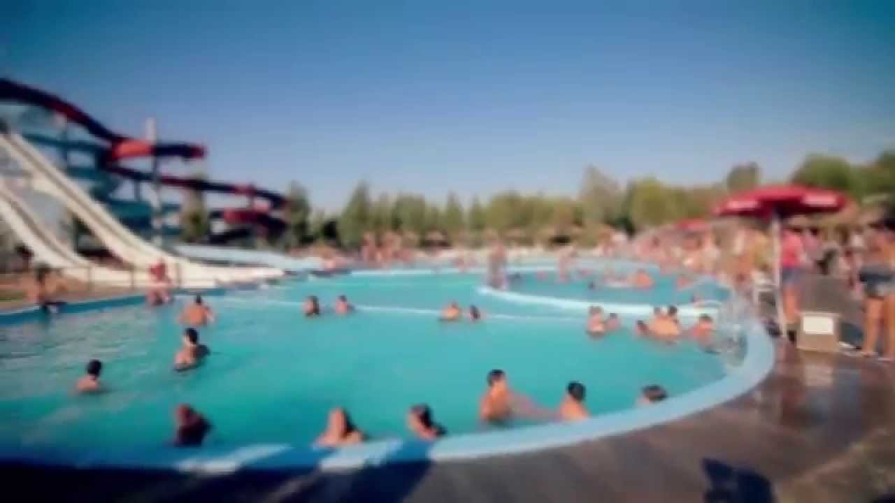 Zoomarine - Estate a tutto splash!
