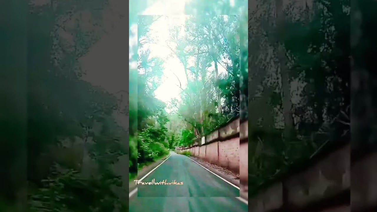 Moody drive....