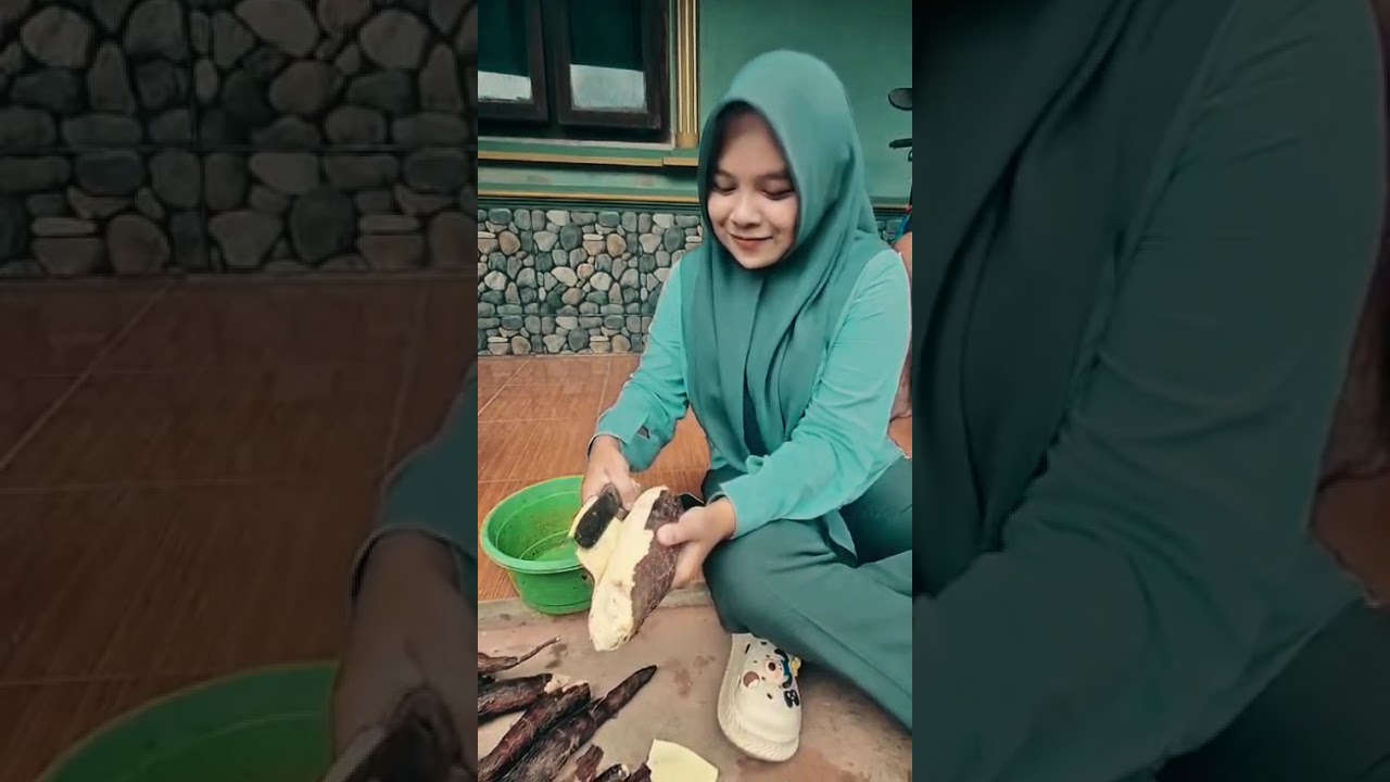 (tugas ilmu alamiah dasar) pengaruh ragi terhadap singkong 