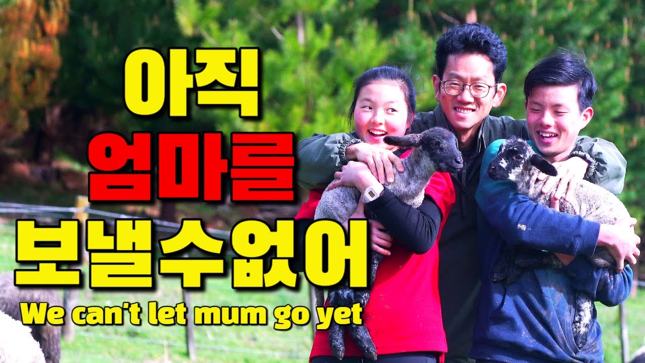 [뉴질랜드 시골가족🌹]시한부 엄마를 돌보며 농장일 하는 한국인 가족 I NZ Korean Family Taking Care Of Terminally Ill Mother