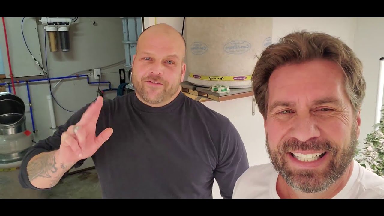Week 8 of flower and the nugs are hard! Sean continues his search for the right strains