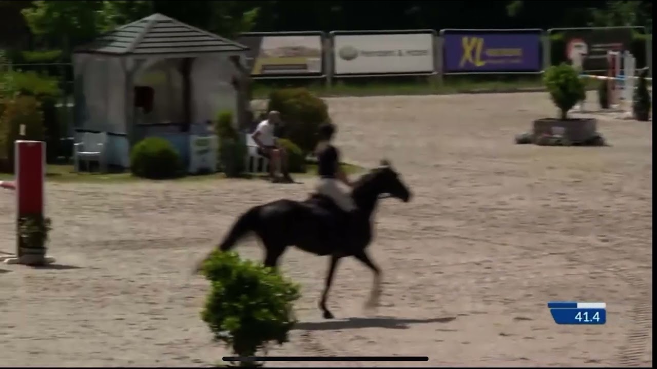 Ultima van de Vrombautshoeve (Richebourg x Contact van de Heffinck) 2020