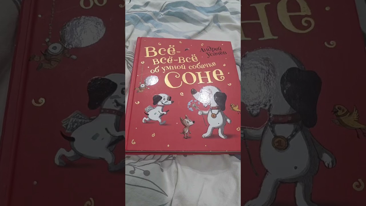 обзор книги собачка соня на даче (обзор истории собачки  сони)