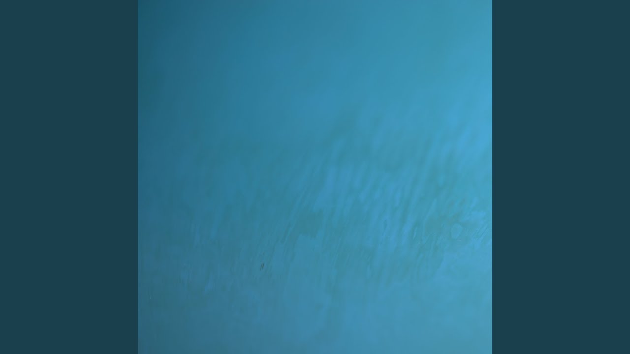 izumi - improvisation - tree