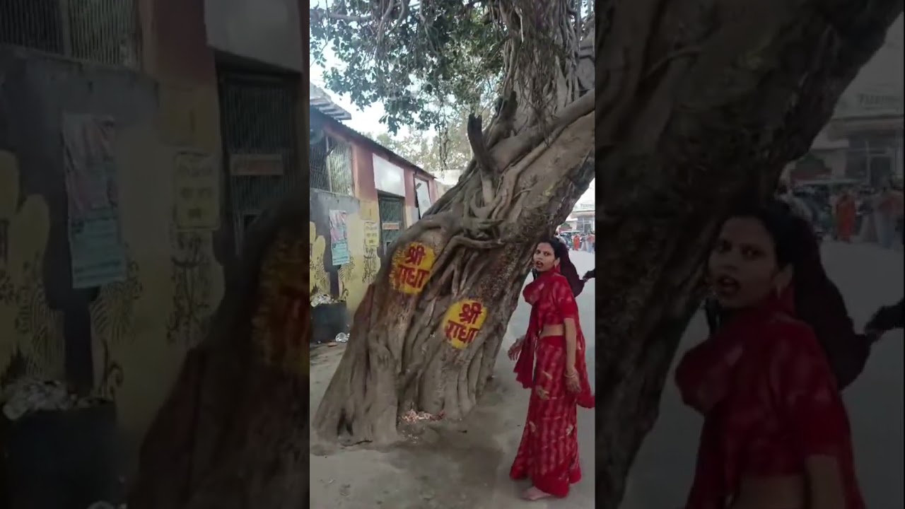 Akadashi vrindavan parikrama Radhe Radhe ❤️