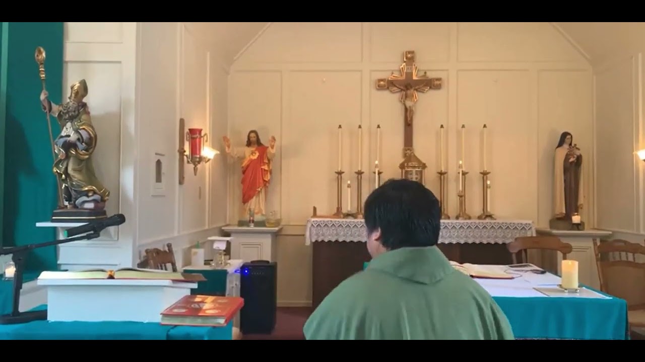 STORE GOODNESS IN OUR HEARTS I SUNDAY GOSPEL REFLECTION (LK 6:39-45) I FEB 27, 2022 I 8TH SUNDAY