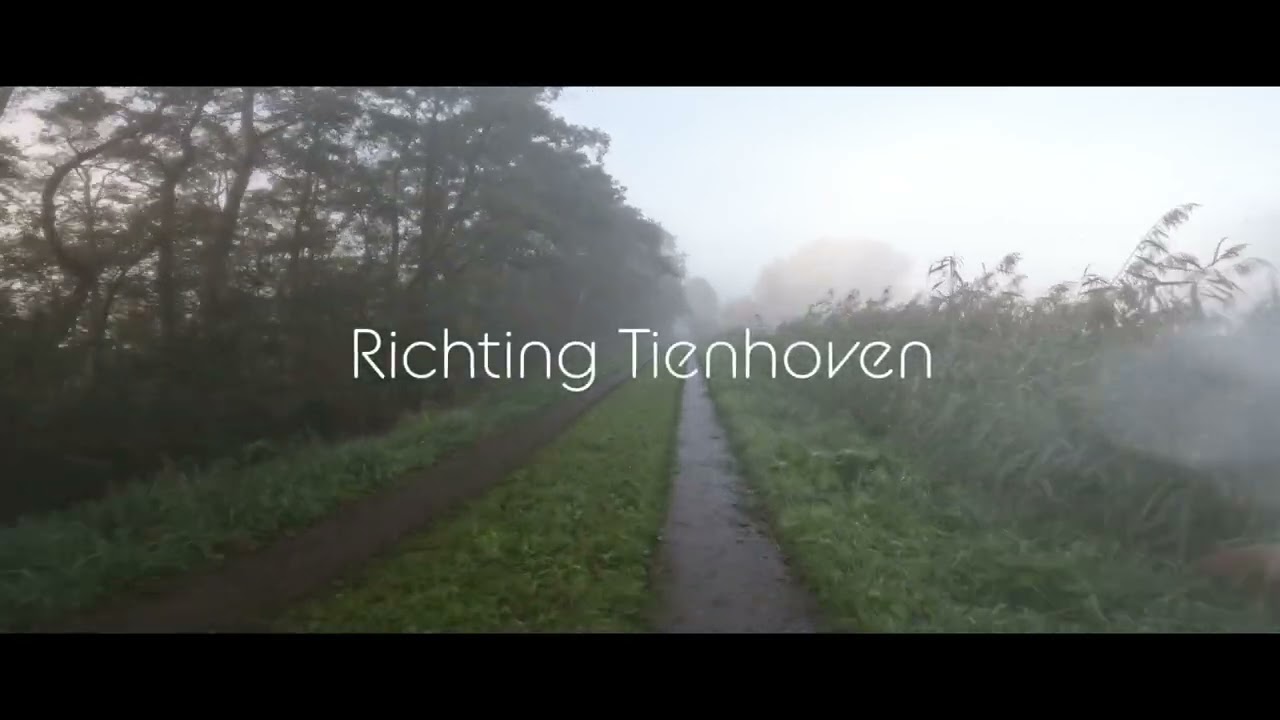 Misty day in ‘t Gooi