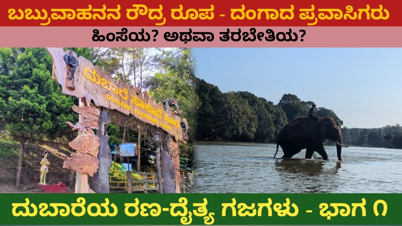 ದುಬಾರೆಯ ರಣ-ದೈತ್ಯ ಗಜಗಳು - ಭಾಗ ೧| ಬಬ್ರುವಾಹನನ ರೌದ್ರ ರೂಪ - ದಂಗಾದ ಪ್ರವಾಸಿಗರು| Dubare elephant camp