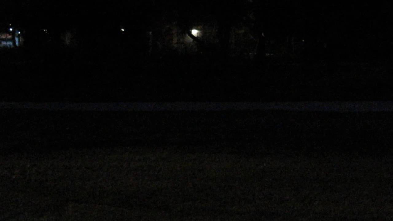 Fireflies, glowing in the dark insects in Cleveland, Ohio