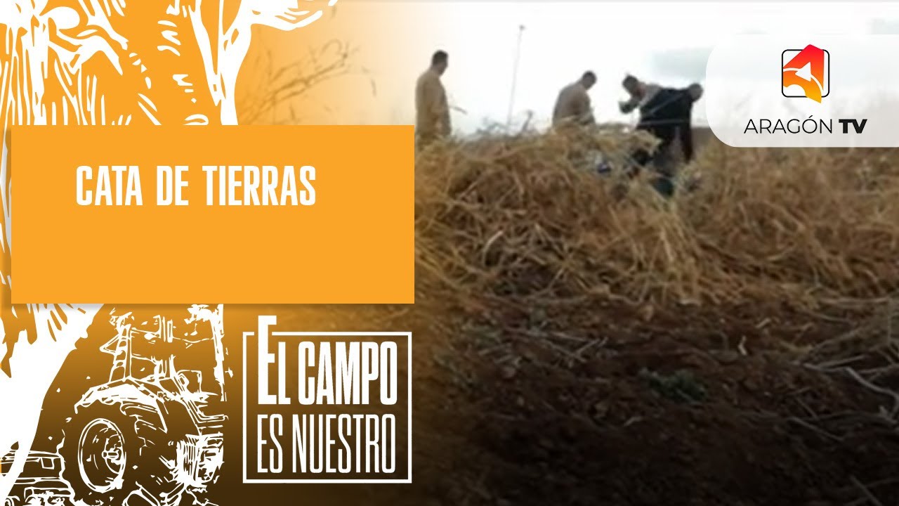 Cata de tierras