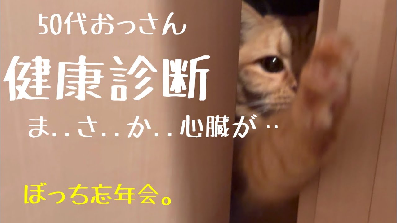 【猫のいる暮らし】健康診断/一人暮らし/50代/猫/ぼっち忘年会