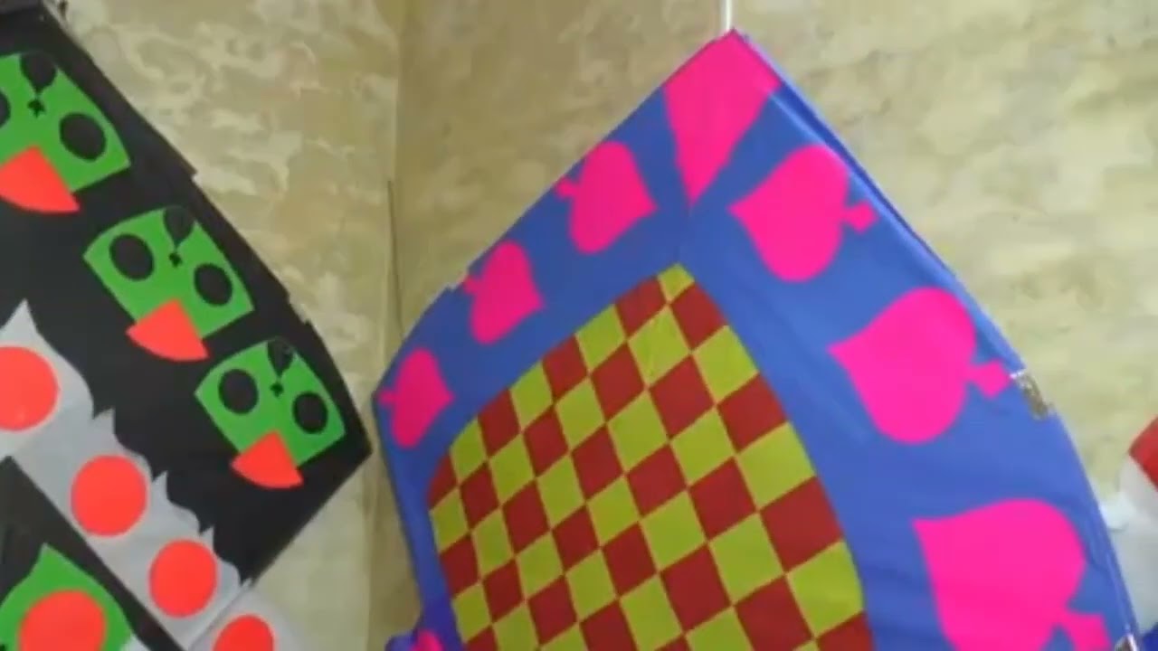star kite maker and shop 2023 interview