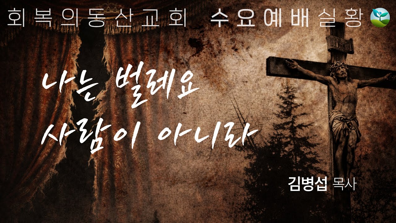 [20260204 수요예배] 나는 벌레요 사람이 아니라 (김병섭 목사)