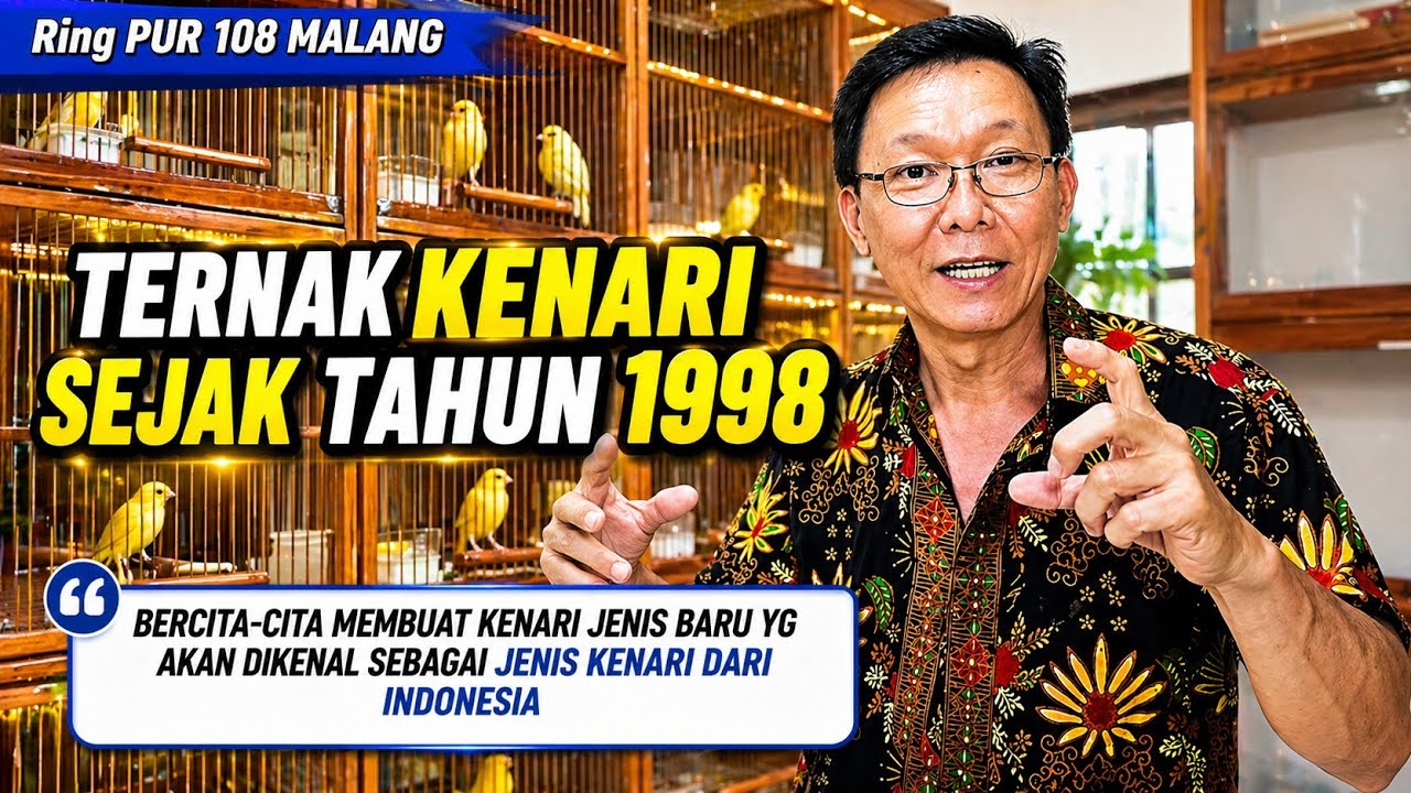 PETERNAK KENARI‼️Ring PUR 108 pencetak KENARI INDAH di MALANG...