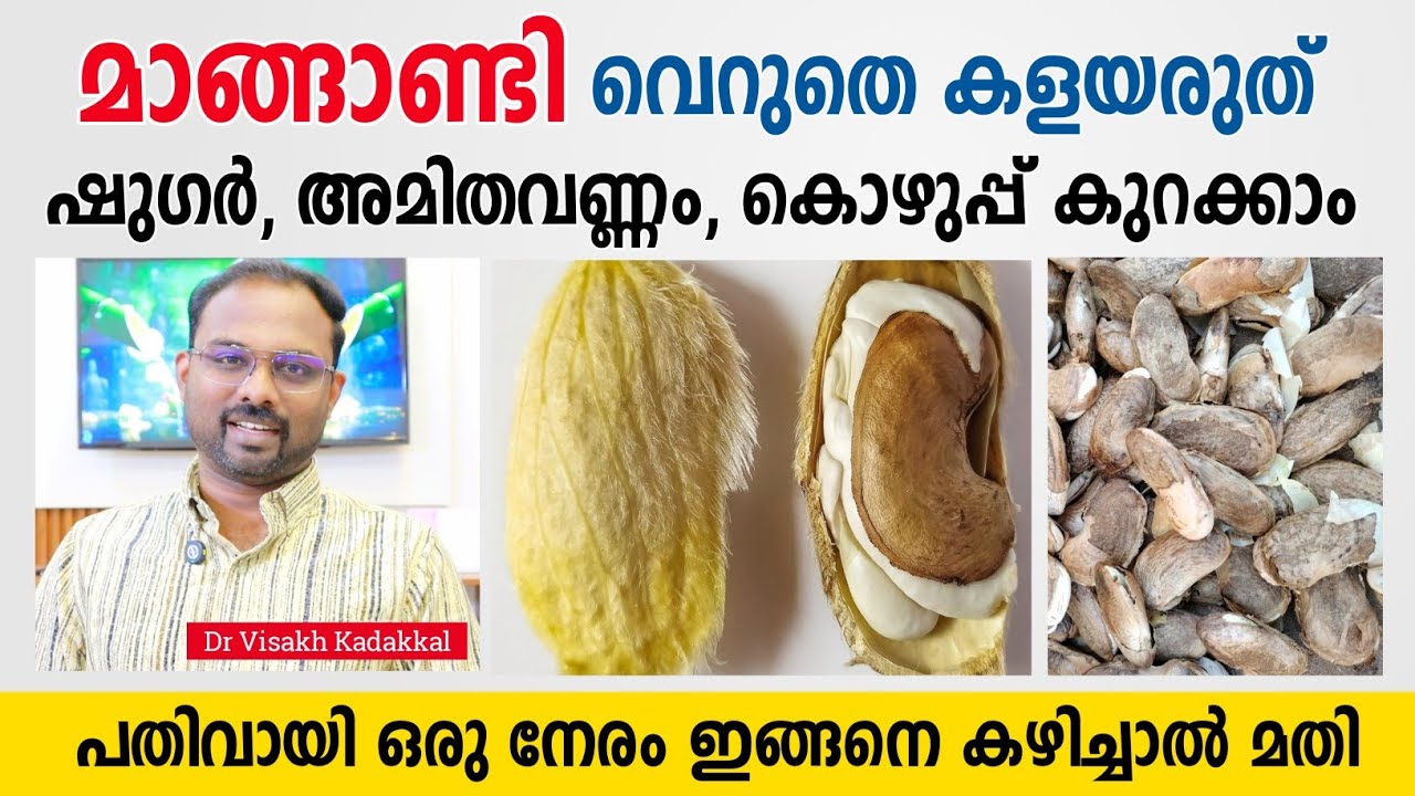 മാങ്ങാണ്ടി വെറുതെ കളയരുത് ; ഷുഗർ അമിതവണ്ണം കൊഴുപ്പ് കുറക്കാം | Mango seed health benefits malayalam 