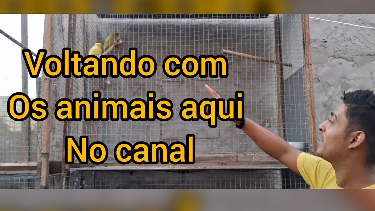 🌿Minha nova rotina na chácara:paz natureza e liberdade !