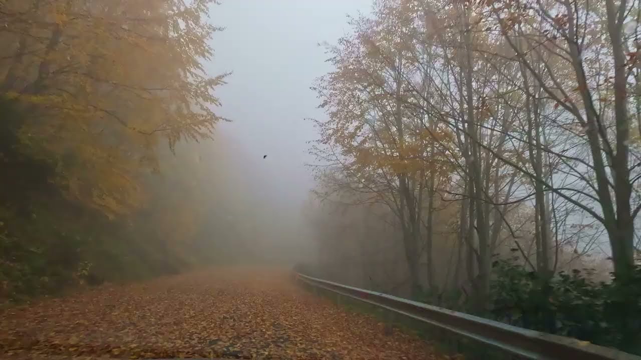 Paul Mauriat - Sympathy '1970