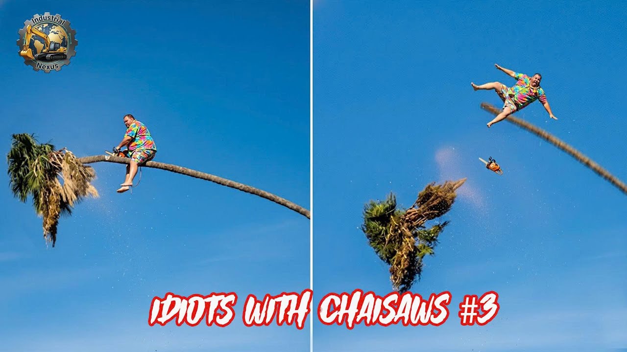 Idiots With Chainsaws: Tree Cutting Fails | Extreme Dangerous Logging Truck Fails #3