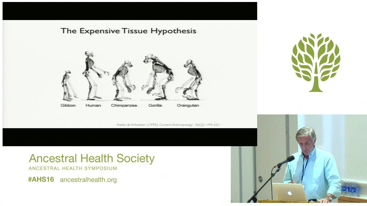 AHS16 - Michael Eades - Paleopathology and the Origins of the Paleo Diet