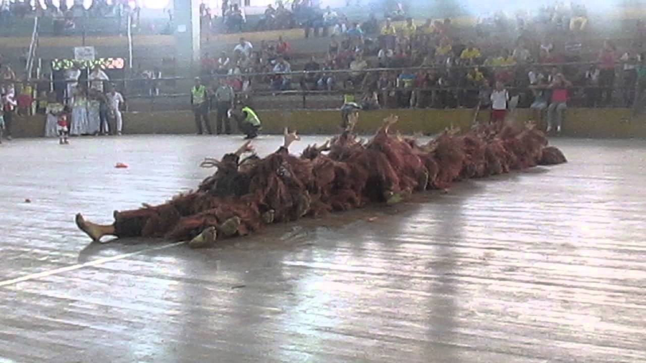 Fundacion Cultural Pitagoras De Samos (Danza Ciempiés)